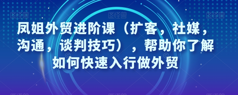 凤姐外贸进阶课：掌握扩客、社媒、沟通与谈判技巧