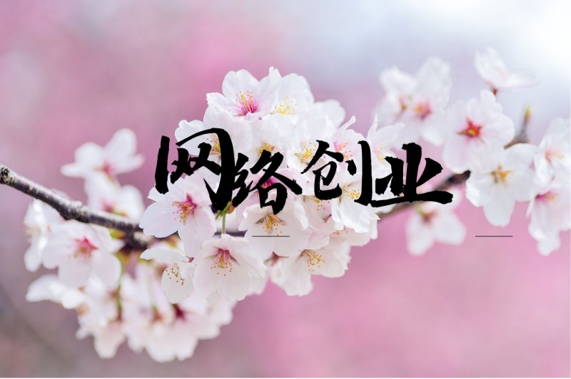 网络创业：为什么大多数人都赚不到钱？解密真相！