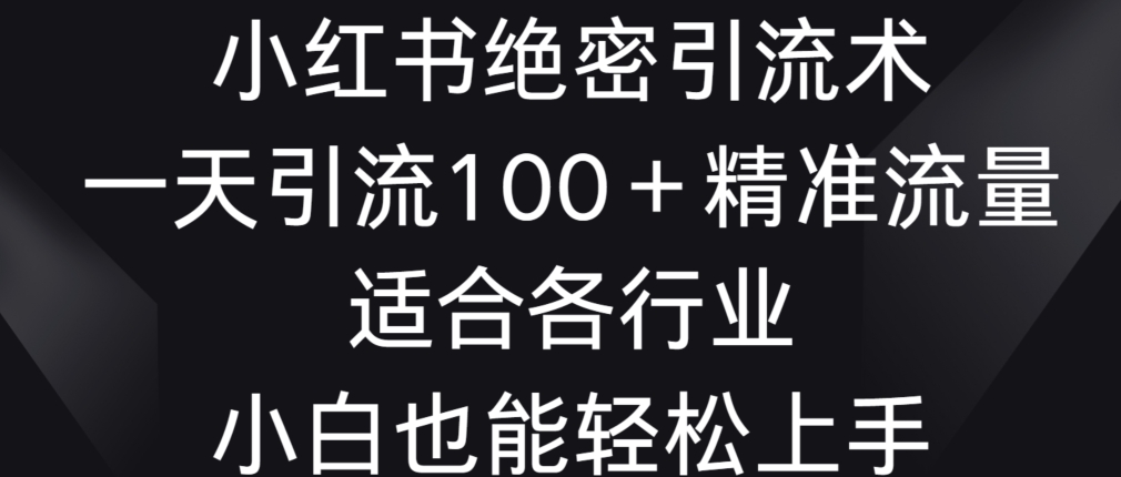 小红书绝密引流术，一天引流100+精准流量，适合各个行业，小白也能轻松上手【揭秘】_课程