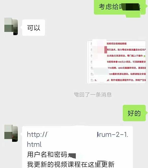小彬网虚拟资源网站培训课程，如何一个月快速做出盈利的资源网站（实打实经验）_项目