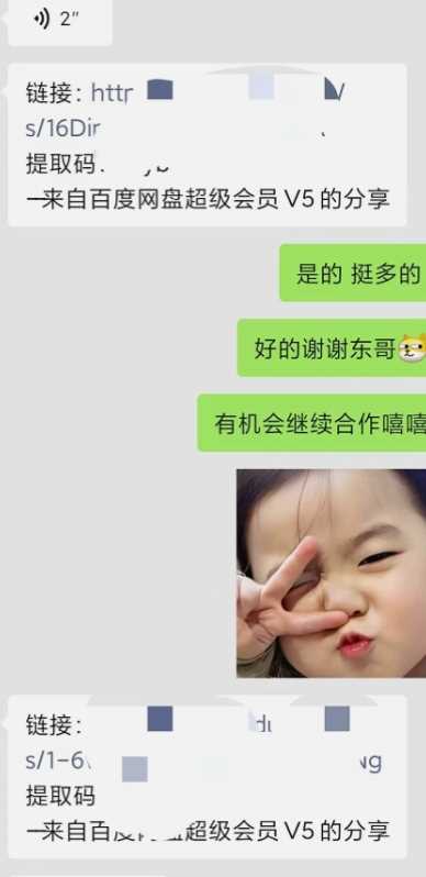 小彬网虚拟资源网站培训课程，如何一个月快速做出盈利的资源网站（实打实经验）_项目