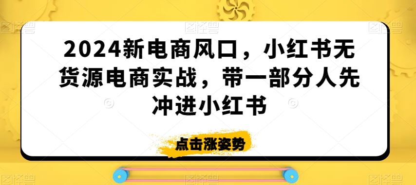 2024新电商风口，小红书无货源电商实战，带一部分人先冲进小红书_教程