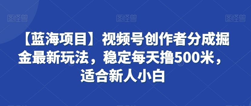 【蓝海项目】视频号创作者分成掘金最新玩法，稳定每天撸500米，适合新人小白【揭秘】_教程