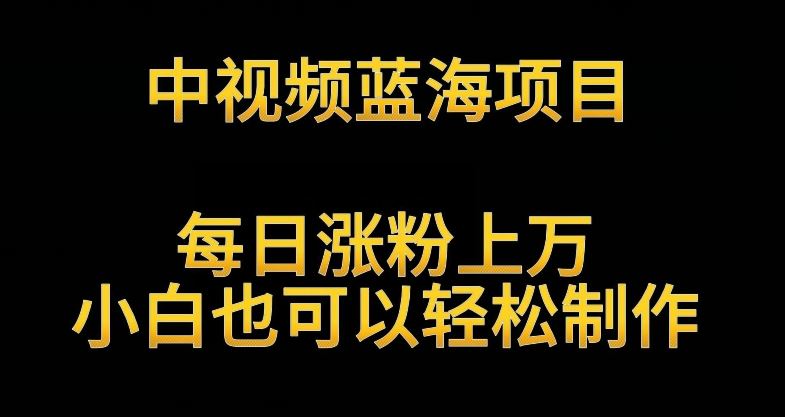 中视频蓝海项目，解读英雄人物生平，每日涨粉上万，小白也可以轻松制作，月入过万不是梦【揭秘】_教程