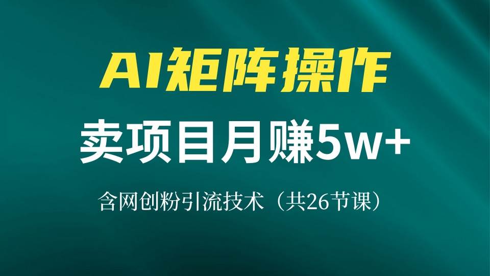 （无水印）网创IP打造课，借助AI卖项目月赚5万+，含引流技术（共26节课）