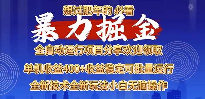 （无水印）2025暴力掘金项目，想过肥年必看！