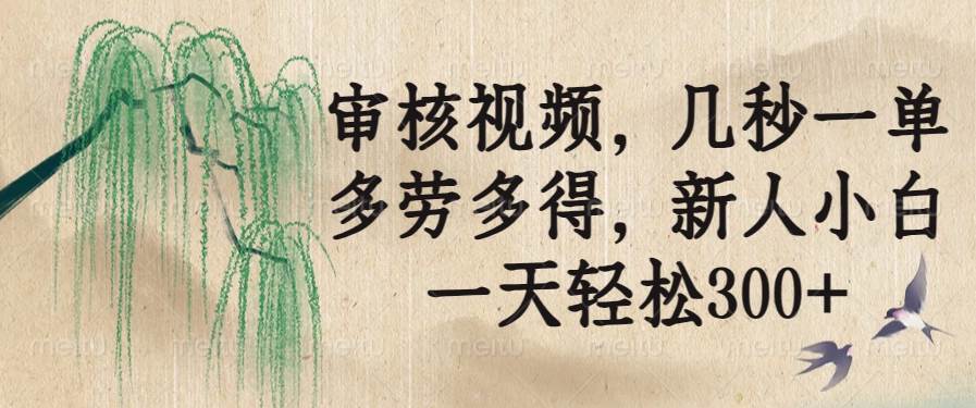 （无水印）审核视频，几秒一单，多劳多得，新人小白一天轻松300+