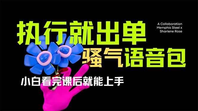 （无水印）爆火全网的开车导航骚气语音包,只要执行就出单，小白看完课程就能实操…