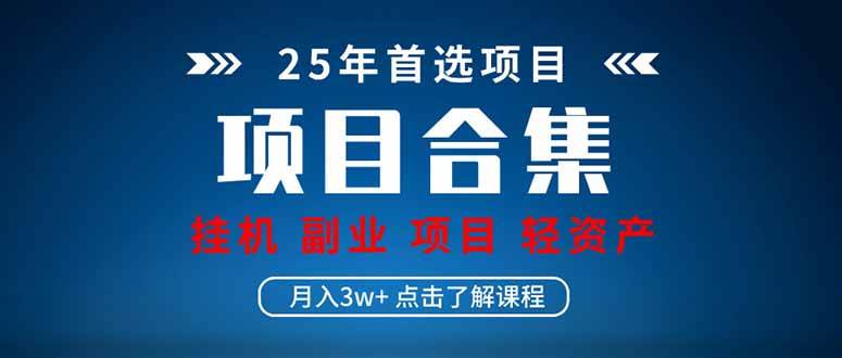 （无水印）2025 实操项目合集 挂机类型 直播类型 轻资产创业类型 课程分享各项目…