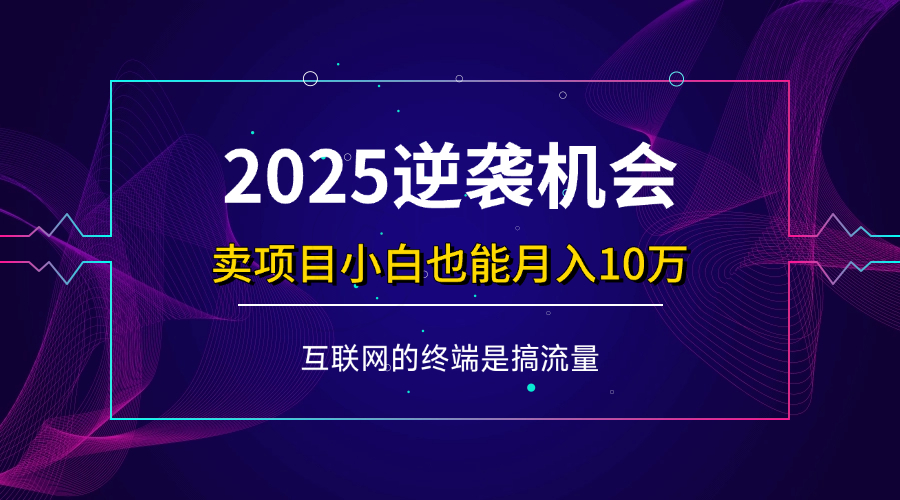 （无水印）项目标题：2025逆袭机会，卖项目小白也能轻松月入10万+