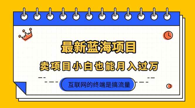 （无水印）2025年最新蓝海项目，卖项目小白也能月入过万-创学笔记