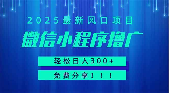 （无水印）微信小程序撸广，最新风口项目，日入300+ 免费分享 可批量操作 小白可…-创学笔记