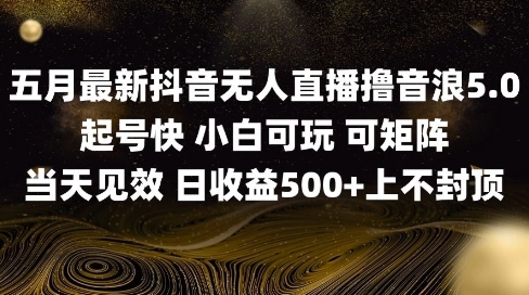 2025抖音无人直播最新玩法：单日收益5000+的稳定音浪变现实战教程（5月亲测有效）