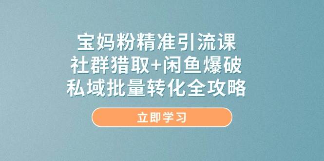 （无水印）宝妈粉精准引流课，社群猎取+闲鱼爆破，私域批量转化全攻略